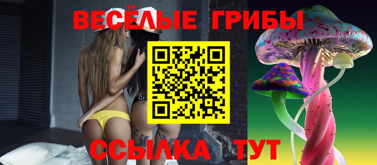 Галлюциногенные грибы GOLDEN TEACHER  Вход с VPN  магазин продажи наркотиков  Людиново 